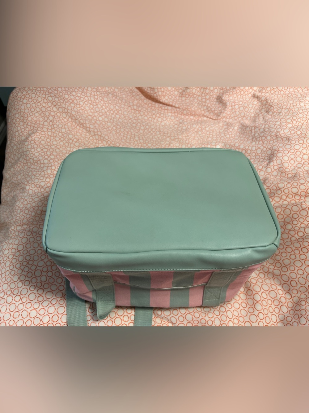 Poppy & Peonies Watermelon Stripe Cooler - Picture 12 of 12